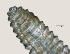  ( - NID-N3296)  @11 [ ] CreativeCommons - Attribution Non-Commercial (2016) Tom Powers University of Nebraska