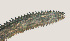  ( - NID-N3301)  @11 [ ] CreativeCommons - Attribution Non-Commercial (2016) Tom Powers University of Nebraska