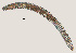  ( - NID-N3321)  @11 [ ] CreativeCommons - Attribution Non-Commercial (2016) Tom Powers University of Nebraska