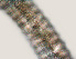  ( - NID-N3321)  @11 [ ] CreativeCommons - Attribution Non-Commercial (2016) Tom Powers University of Nebraska