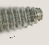  ( - NID-N3328)  @11 [ ] CreativeCommons - Attribution Non-Commercial (2016) Tom Powers University of Nebraska