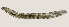  ( - NID-N3329)  @11 [ ] CreativeCommons - Attribution Non-Commercial (2016) Tom Powers University of Nebraska