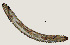  ( - NID-N3381)  @11 [ ] CreativeCommons - Attribution Non-Commercial (2016) Tom Powers University of Nebraska
