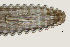  ( - NID-N3381)  @11 [ ] CreativeCommons - Attribution Non-Commercial (2016) Tom Powers University of Nebraska