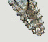  ( - NID-N3414)  @11 [ ] CreativeCommons - Attribution Non-Commercial (2016) Tom Powers University of Nebraska