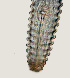 ( - NID-N3415)  @11 [ ] CreativeCommons - Attribution Non-Commercial (2016) Tom Powers University of Nebraska