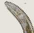  (Lobocriconema sp. HG17 - NID-N3667)  @11 [ ] CreativeCommons - Attribution Non-Commercial (2016) Tom Powers University of Nebraska