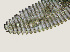  ( - NID-N3667)  @11 [ ] CreativeCommons - Attribution Non-Commercial (2016) Tom Powers University of Nebraska
