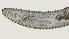  ( - NID-N3675)  @11 [ ] CreativeCommons - Attribution Non-Commercial (2016) Tom Powers University of Nebraska