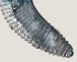  ( - NID-N444)  @11 [ ] CreativeCommons - Attribution Non-Commercial (2016) Tom Powers University of Nebraska
