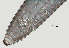  ( - NID-N502)  @11 [ ] CreativeCommons - Attribution Non-Commercial (2017) Tom Powers University of Nebraska