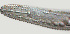  ( - NID-N505)  @11 [ ] CreativeCommons - Attribution Non-Commercial (2017) Tom Powers University of Nebraska