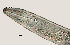  ( - NID-N599)  @11 [ ] CreativeCommons - Attribution Non-Commercial (2017) Tom Powers University of Nebraska