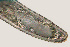  ( - NID-N599)  @11 [ ] CreativeCommons - Attribution Non-Commercial (2017) Tom Powers University of Nebraska