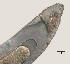  ( - NID-N604)  @11 [ ] CreativeCommons - Attribution Non-Commercial (2017) Tom Powers University of Nebraska