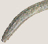  ( - NID-N606)  @11 [ ] CreativeCommons - Attribution Non-Commercial (2017) Tom Powers University of Nebraska