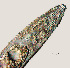  ( - NID-N703)  @11 [ ] CreativeCommons - Attribution Non-Commercial (2017) Tom Powers University of Nebraska