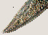  ( - NID-N703)  @11 [ ] CreativeCommons - Attribution Non-Commercial (2017) Tom Powers University of Nebraska