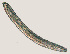  ( - NID-N704)  @11 [ ] CreativeCommons - Attribution Non-Commercial (2017) Tom Powers University of Nebraska