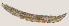 ( - NID-N721)  @11 [ ] CreativeCommons - Attribution Non-Commercial (2017) Tom Powers University of Nebraska