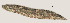  ( - NID-N721)  @11 [ ] CreativeCommons - Attribution Non-Commercial (2017) Tom Powers University of Nebraska