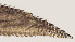  ( - NID-N721)  @11 [ ] CreativeCommons - Attribution Non-Commercial (2017) Tom Powers University of Nebraska