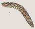  ( - NID-N723)  @11 [ ] CreativeCommons - Attribution Non-Commercial (2016) Tom Powers University of Nebraska