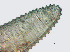  ( - NID-N724)  @11 [ ] CreativeCommons - Attribution Non-Commercial (2017) Tom Powers University of Nebraska