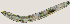  ( - NID-N728)  @11 [ ] CreativeCommons - Attribution Non-Commercial (2017) Tom Powers University of Nebraska