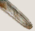  ( - NID-N728)  @11 [ ] CreativeCommons - Attribution Non-Commercial (2017) Tom Powers University of Nebraska