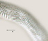  ( - NID-N729)  @11 [ ] CreativeCommons - Attribution Non-Commercial (2017) Tom Powers University of Nebraska