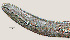  ( - NID-N730)  @11 [ ] CreativeCommons - Attribution Non-Commercial (2017) Tom Powers University of Nebraska