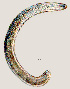  ( - NID-N748)  @11 [ ] CreativeCommons - Attribution Non-Commercial (2017) Tom Powers University of Nebraska