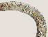  ( - NID-N748)  @11 [ ] CreativeCommons - Attribution Non-Commercial (2017) Tom Powers University of Nebraska