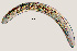  ( - NID-N749)  @11 [ ] CreativeCommons - Attribution Non-Commercial (2017) Tom Powers University of Nebraska