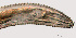  ( - NID-N759)  @11 [ ] CreativeCommons - Attribution Non-Commercial (2017) Tom Powers University of Nebraska