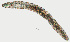  ( - NID-N828)  @11 [ ] CreativeCommons - Attribution Non-Commercial (2017) Tom Powers University of Nebraska