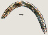  ( - NID-N835)  @11 [ ] CreativeCommons - Attribution Non-Commercial (2017) Tom Powers University of Nebraska