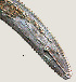  ( - NID-N835)  @11 [ ] CreativeCommons - Attribution Non-Commercial (2017) Tom Powers University of Nebraska
