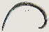  ( - NID-N881)  @11 [ ] CreativeCommons - Attribution Non-Commercial (2017) Tom Powers University of Nebraska