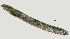  ( - NID-N891)  @11 [ ] CreativeCommons - Attribution Non-Commercial (2017) Tom Powers University of Nebraska