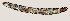  ( - NID-N894)  @11 [ ] CreativeCommons - Attribution Non-Commercial (2016) Tom Powers University of Nebraska