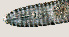  ( - NID-N899)  @11 [ ] CreativeCommons - Attribution Non-Commercial (2016) Tom Powers University of Nebraska