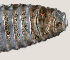 ( - NID-N899)  @11 [ ] CreativeCommons - Attribution Non-Commercial (2016) Tom Powers University of Nebraska