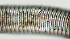  ( - NID-N918)  @11 [ ] CreativeCommons - Attribution Non-Commercial (2017) Tom Powers University of Nebraska