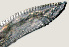  ( - NID-N923)  @11 [ ] CreativeCommons - Attribution Non-Commercial (2017) Tom Powers University of Nebraska