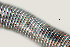  ( - NID-N927)  @11 [ ] CreativeCommons - Attribution Non-Commercial (2017) Tom Powers University of Nebraska