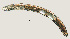  ( - NID-N944)  @11 [ ] CreativeCommons - Attribution Non-Commercial (2017) Tom Powers University of Nebraska