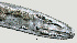  ( - NID-N947)  @11 [ ] CreativeCommons - Attribution Non-Commercial (2017) Tom Powers University of Nebraska