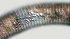  ( - NID-N947)  @11 [ ] CreativeCommons - Attribution Non-Commercial (2017) Tom Powers University of Nebraska